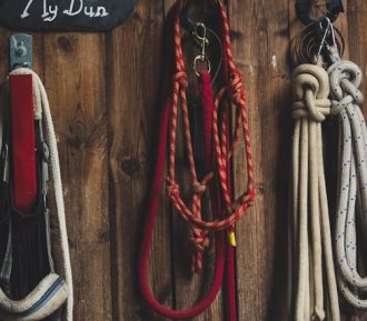 Markus spiske xl7 2hh251Y unsplash